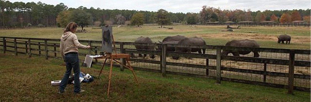Nadine Terk painting rhinos